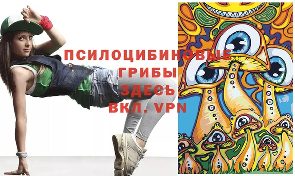 шишки Горнозаводск