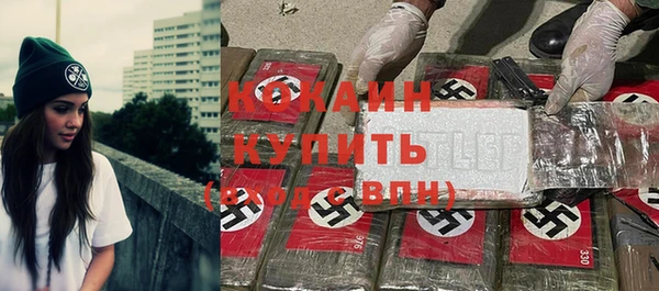 шишки Горнозаводск