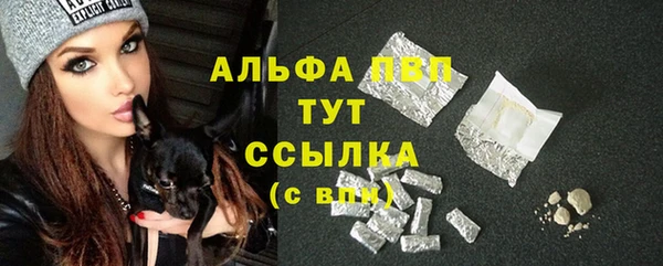 шишки Горнозаводск