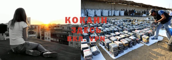 шишки Горнозаводск