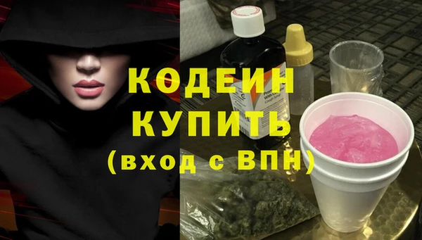 шишки Горнозаводск