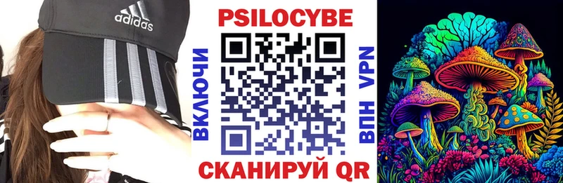 купить Жирновск kraken ссылки Псилоцибиновые грибы GOLDEN TEACHER